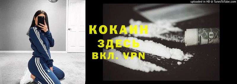 купить наркотики сайты  Мураши  МЕГА сайт  Cocaine FishScale 