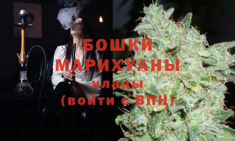 Марихуана White Widow  Мураши 